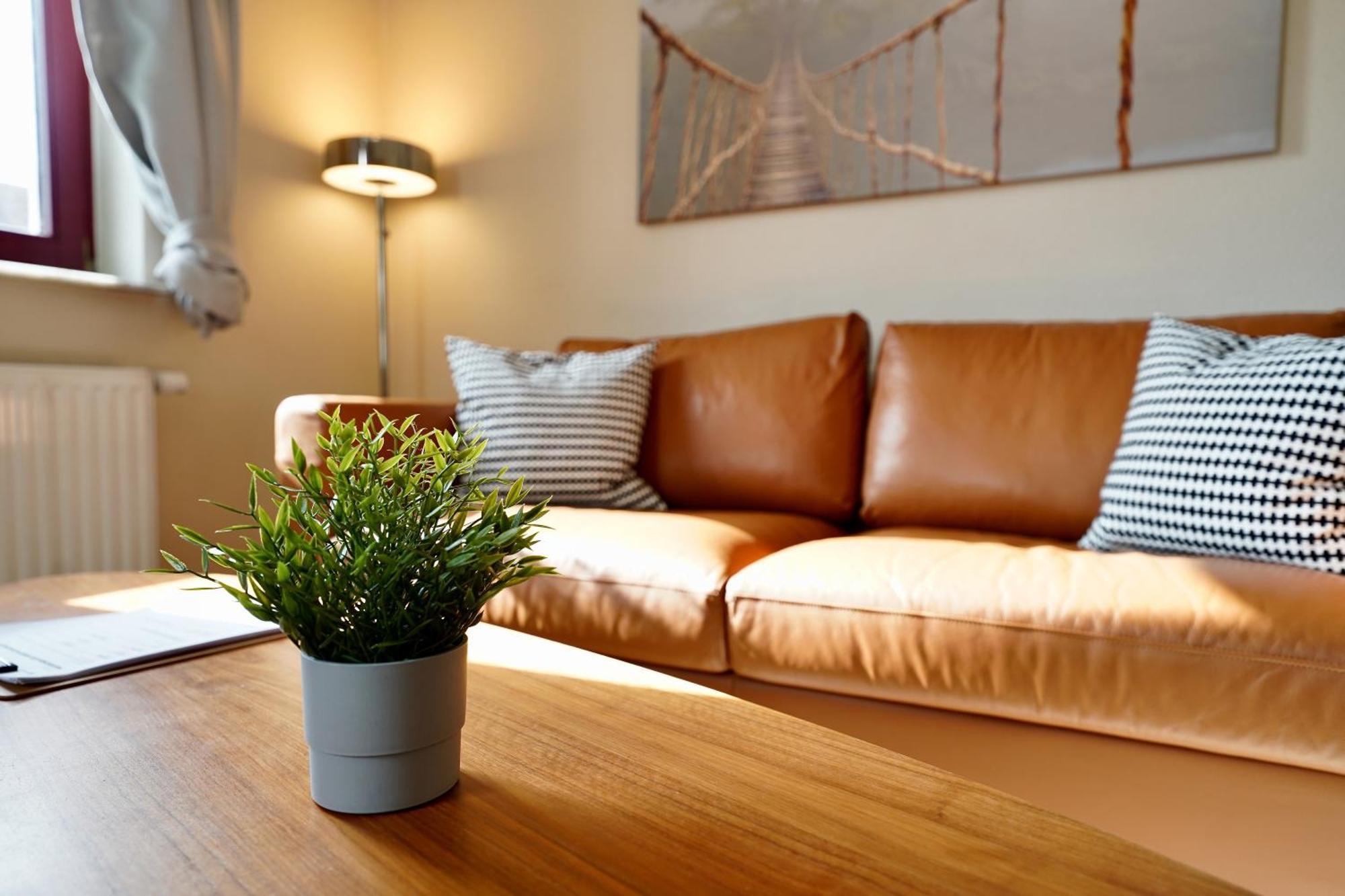 Edler Wohnraum Noble Stadtoase Mit Boxspringbett, Kaffeevollautomat & Parkplatz Zwickau Esterno foto